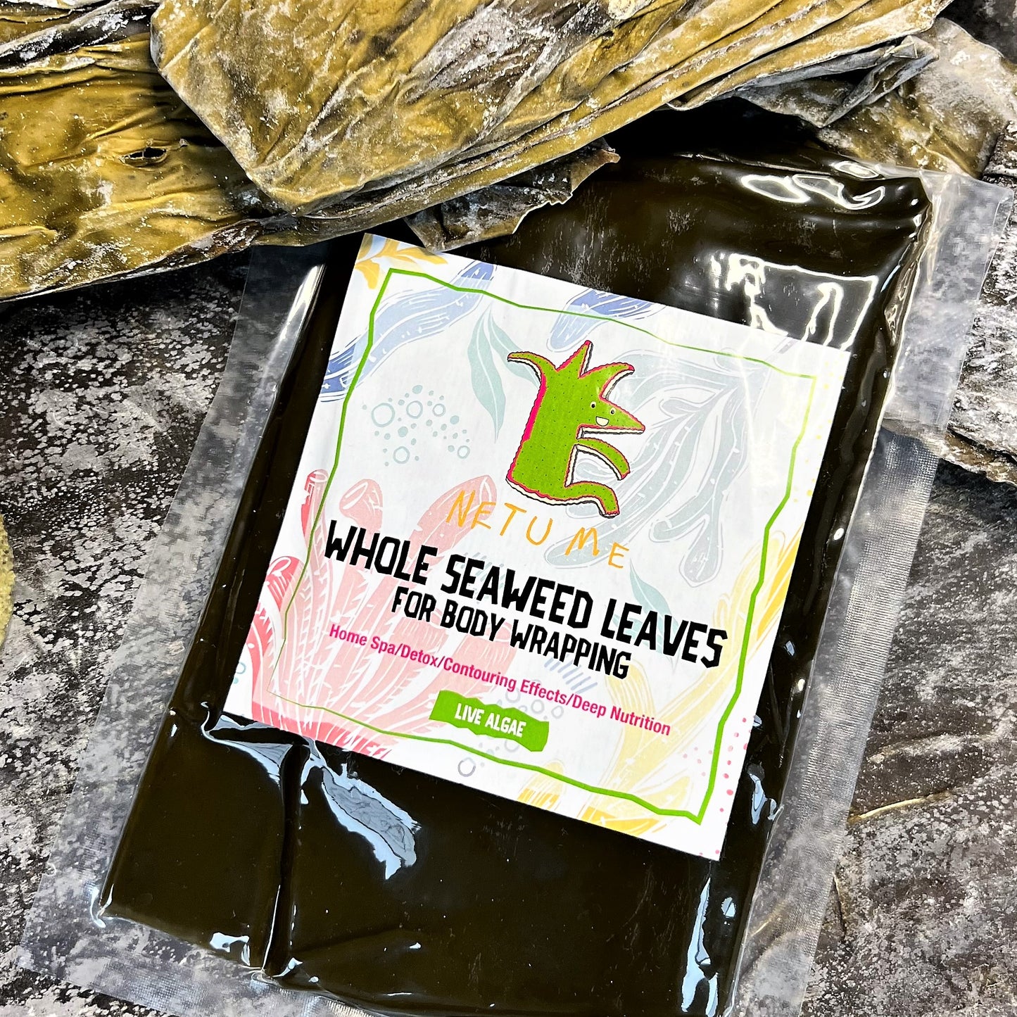 Live Seaweed Anti- Cellulite Body Wrapping. Whole Wet Leaves